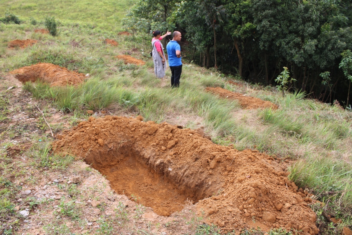 E:\KM\Images\Implementation of Activities\Tluh\Contour Trenches\IMG_2699.JPG